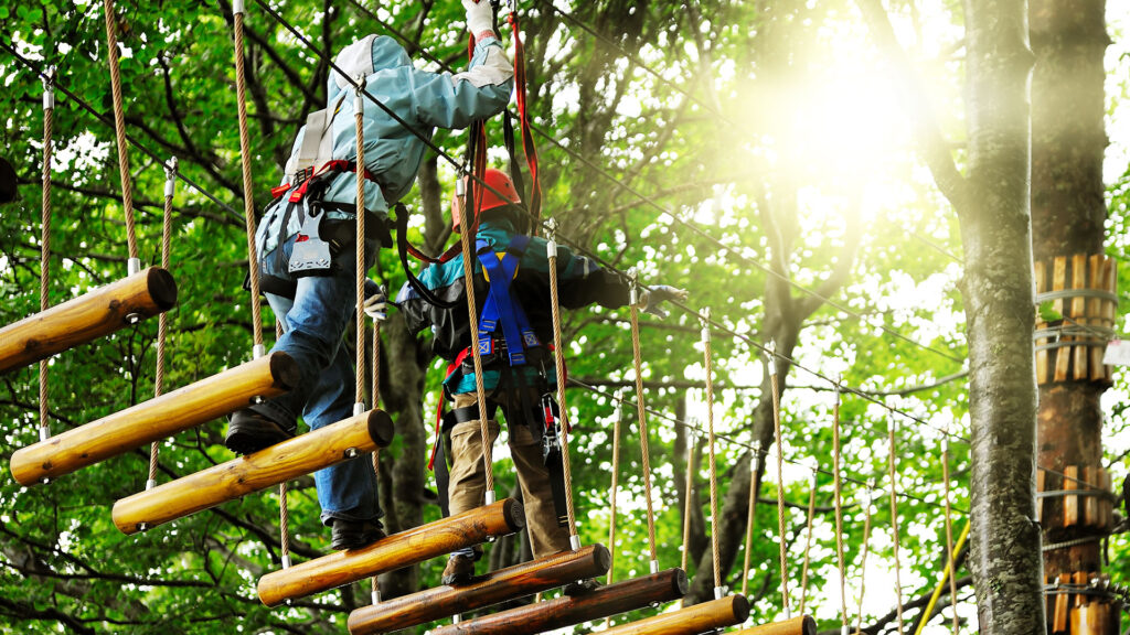 Klatring i trætopppene