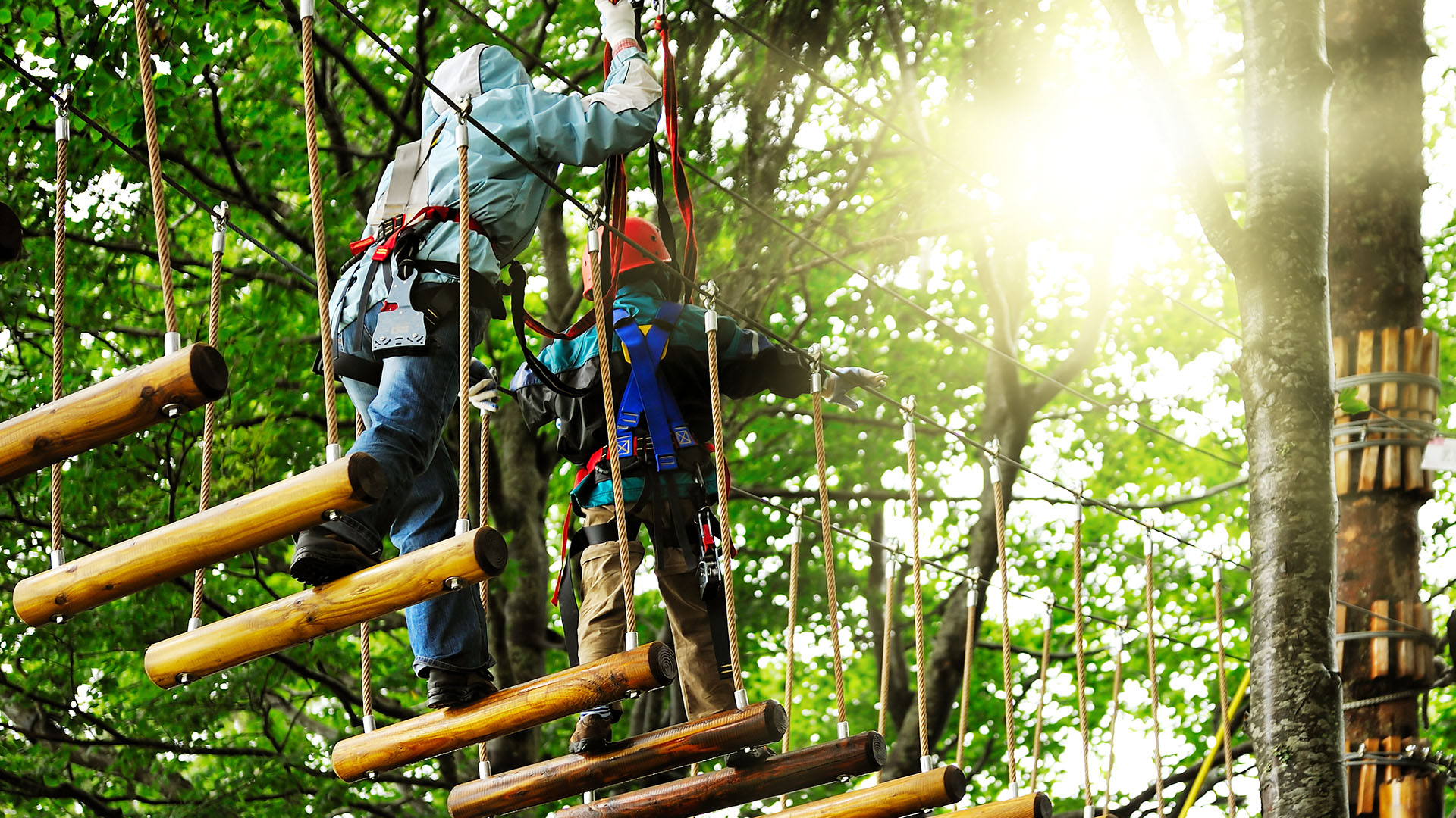 Klatring i trætopppene